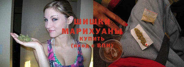 ГАЛЛЮЦИНОГЕННЫЕ ГРИБЫ Ладушкин