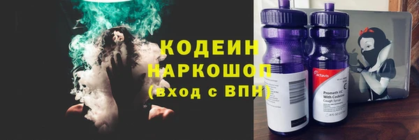 крисы Лагань