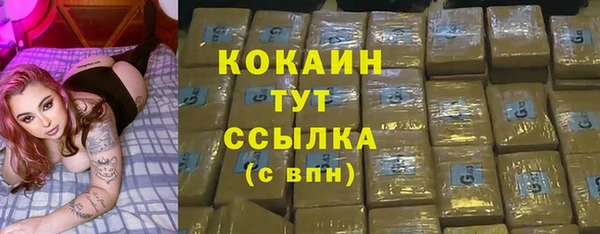 крисы Лагань