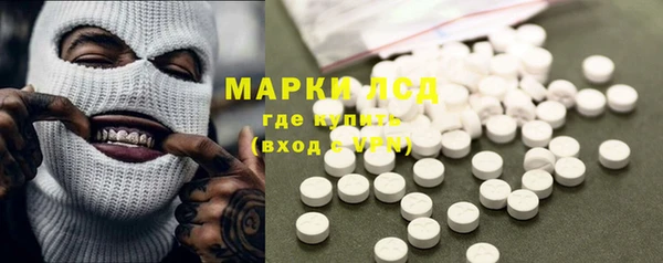 ГАЛЛЮЦИНОГЕННЫЕ ГРИБЫ Ладушкин
