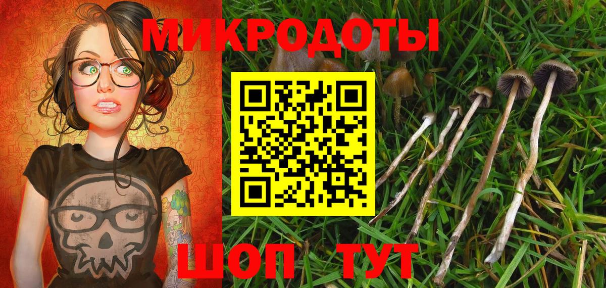 Галлюциногенные грибы Cubensis Оренбург